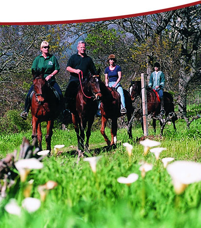 Horse Riding